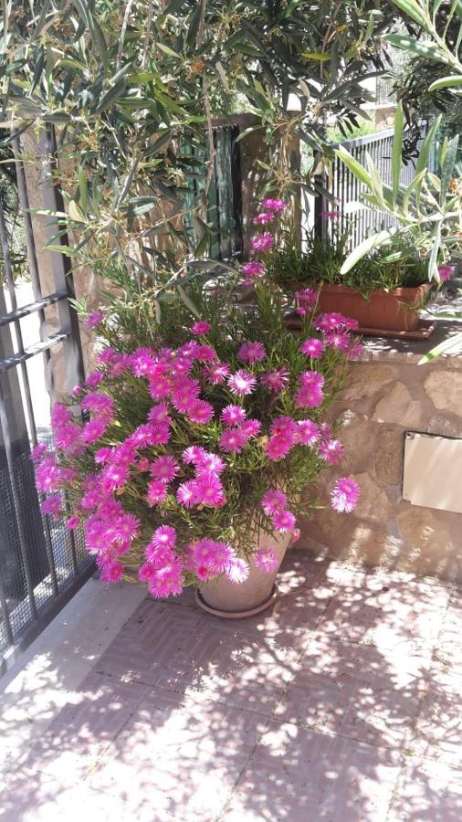 Modus B&B San Vito Lo Capo Exterior photo